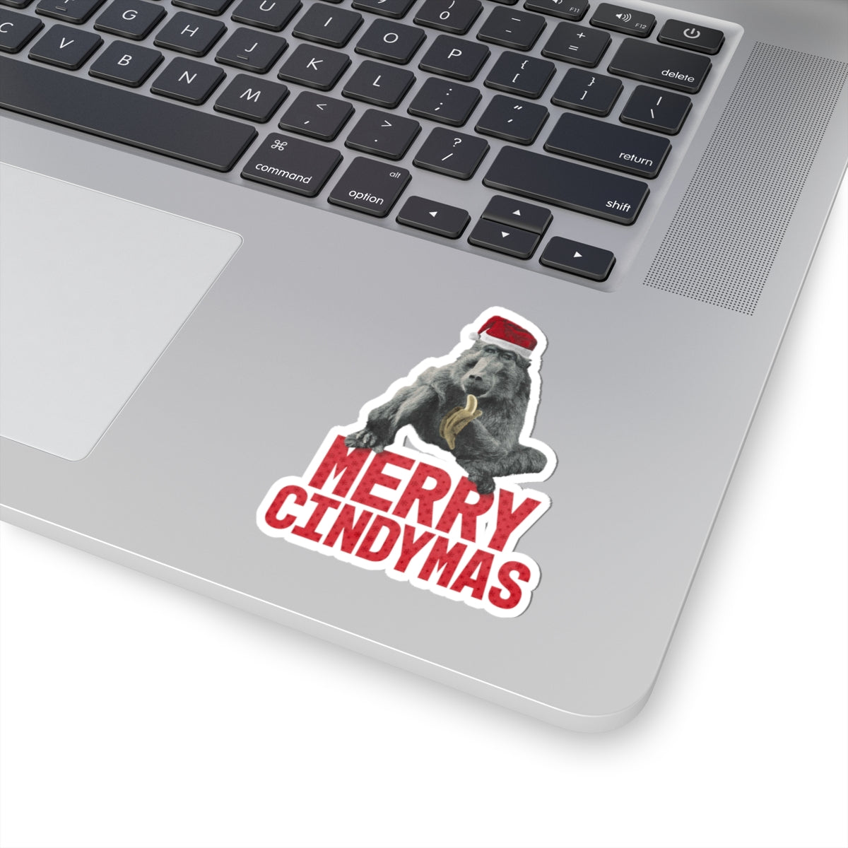 Merry Cindymas Vinyl Sticker - Santa Hat